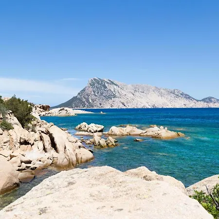 Lejlighed Casa Vacanza La Caletta
